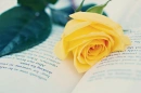 Hopless Love