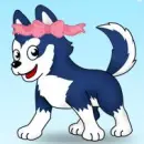 Blosey the Cute Huskey