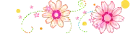 Pink floral divider - div - spring