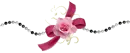 Pink Rose & Bow - div - vday - spring