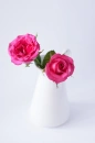 Twin roses