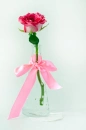 Pink rose with ribboon