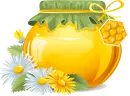 Honey