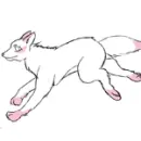 Piucca's Wolf Run