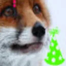 Fox Avatar