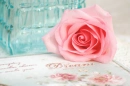 Rose pink
