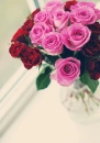 Rosey Roses
