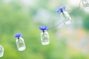 Blue in Bottle