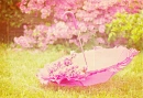 April Showers