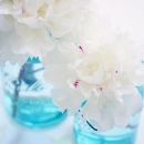White Peonies