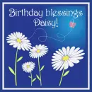 Daisies for Daisy's birthday