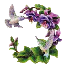 Hummingbirds