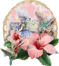 Hummingbirds