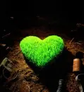 Green heart