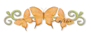 Abtract Divider