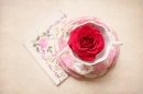 cup of rose