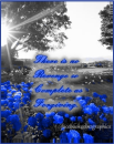 Forgiving