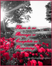 Forgiving