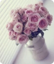 Pastel pink roses