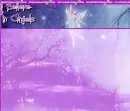 Believe in Angels