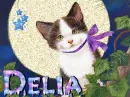 Delia