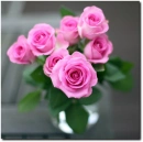 Roses in vase