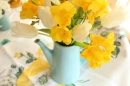 Yello morning