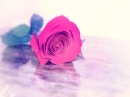 Softness