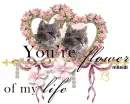 Cats in Love
