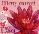 May angel Elia