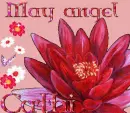 May angel Cathi