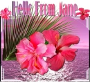Pink Tropical - Jane