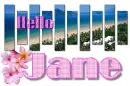 Beach Hello - Jane