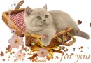 Glitter Graphics Cat in Love