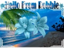 Beach scene - Robbie