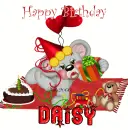 daisy