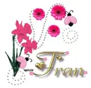 Pink Lady bug - Fran