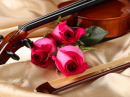 violin and roses