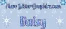 Daisy