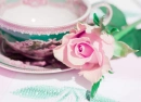 Breakfast and rose