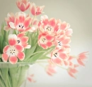 Soft tulips