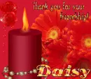 Daisy