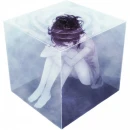 Boxed