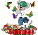 chrissi