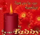 Tabby