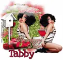 Tabby