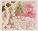 Pearly Tulip