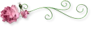 Abtract Divider