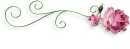 Abtract Divider