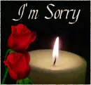 Sorry rose